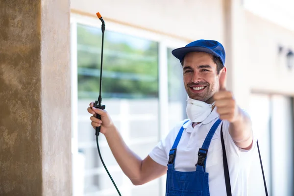 Wylie Wasp Removal