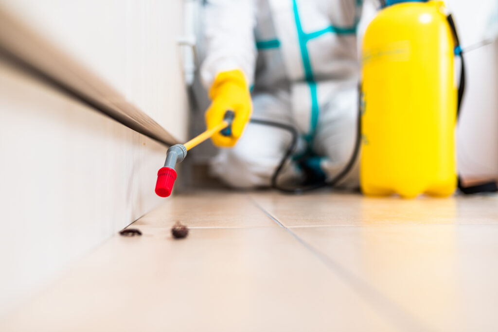 Wylie Cockroach Experts