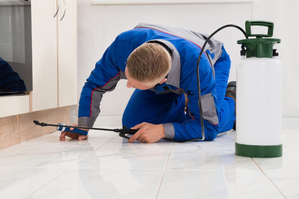 Wylie Ant Control Xperts