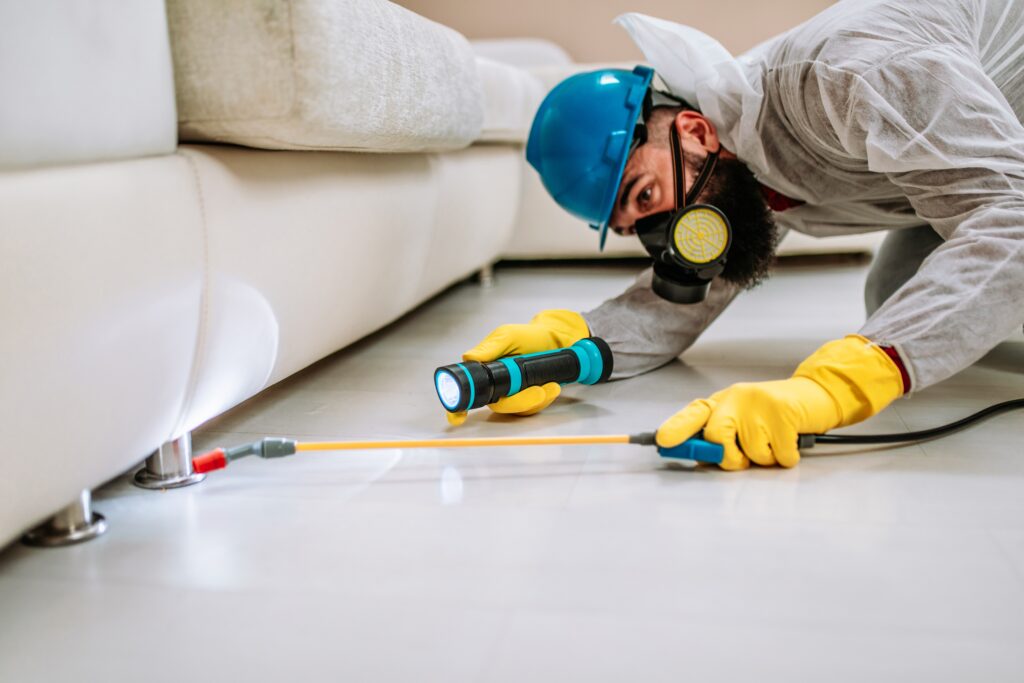 Wylie Termite Control