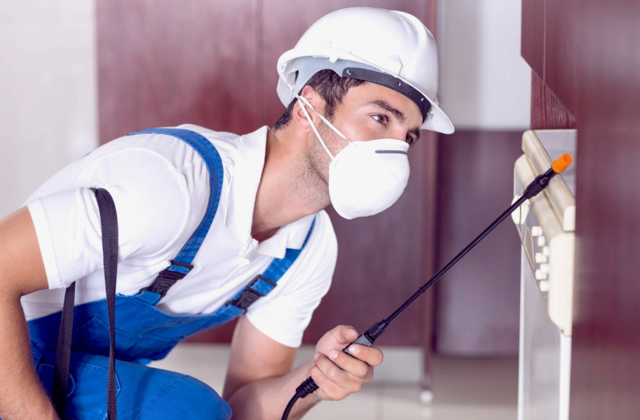 Wylie local pest services